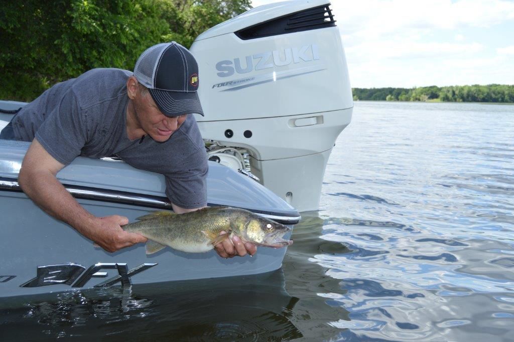 Walleye